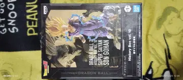 드래곤볼 Z 히스토리 박스 vol.10 초사이어인 손오반