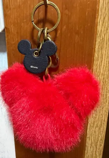 ZARA 콜라보 Disney 미키 참 빨간색 레드 퍼