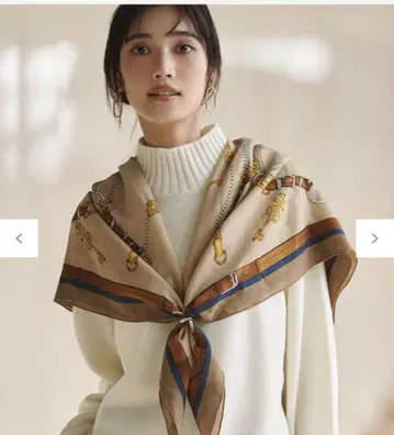 23구 Oggi LEE 게재 울 캐시미어 스톨