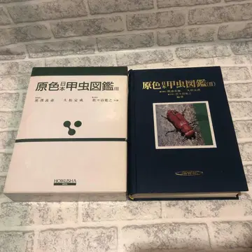 원색 일본 딱정벌레 도감 3