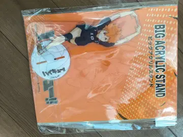 하이큐!! BIG ACRYLIC STAND 쇼요 카게야마 연마 쿠로오