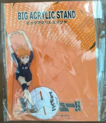 하이큐!! BIG ACRYLIC STAND 쇼요 카게야마 연마 쿠로오