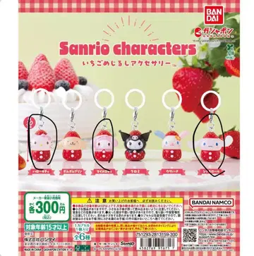 산리오 딸기 메지루시 액세서리 키티 마이멜로디 시나몬 세트