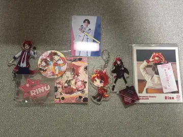 스토푸리 리이누군 묶음 판매