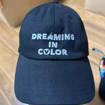 DREAMING IN COLOR 캡