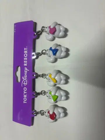 도쿄 디즈니 리조트 스트랩 5세트