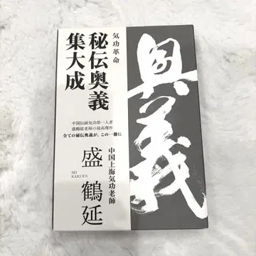 기공 혁명 비전 오의 집대성 성학연 DVD 포함