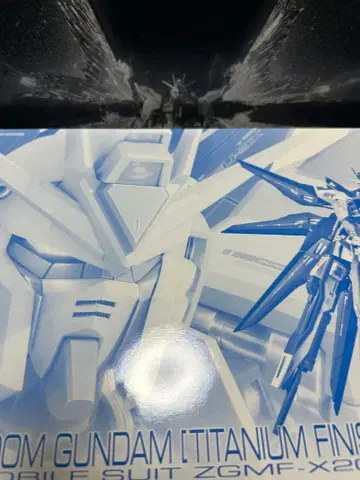 스트라이크 프리덤 티타늄 & 빛의 날개 세트