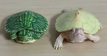 네이처 테크니컬러 MONO 미도리카메 스트랩 2개