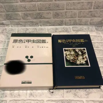 원색 일본 딱정벌레 도감 4