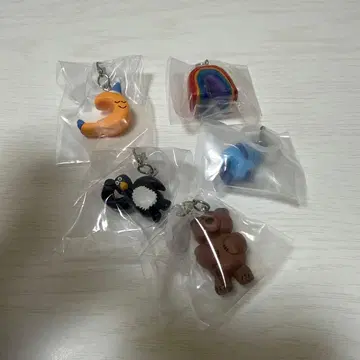 [ 5체 세트 ] DAISUKE KONDO 메지루시 액세서리