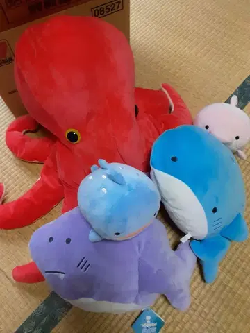 컬러풀한 바다 생물 봉제 인형 5세트