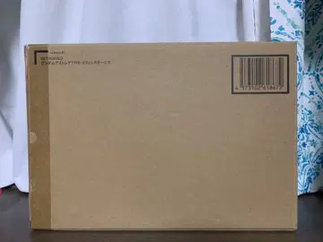 METAL BUILD 건담 아스트레아 TYPE-X 핀스타니스