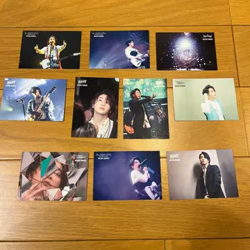 오오모리 모토키 포토 카드 10장 세트