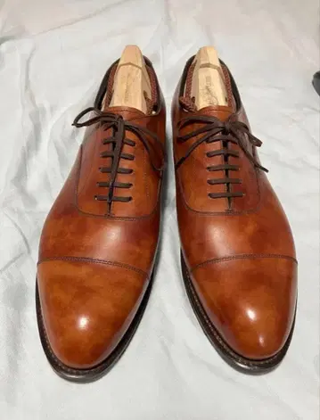 셰틀랜드 폭스 복각판 켄싱턴 8