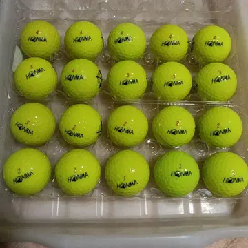 로스트 볼 D1 plus 23년 20구