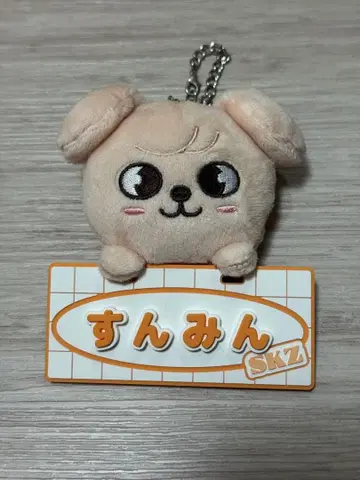 SKZOO 네임 백참 (PuppyM) 승민