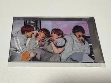 우라시마사카타센 여름 투어 포토 카드 집합