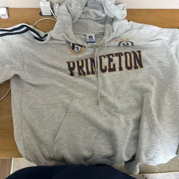 프린스턴 로고 후드 부착 후드티 그레이
