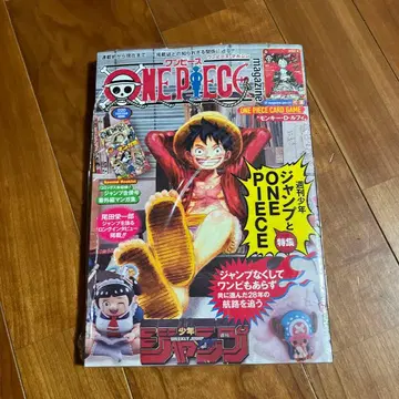 ONE PIECE magazine 원피스 매거진 20호 프로모션 포함