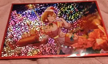 MEIKO 아크릴 색지 C 하피콜레 축제 의상