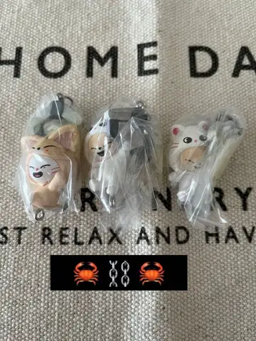 skzoo 츠만데 츠나게테 마스코트 vol.2 지니렛 폭시니