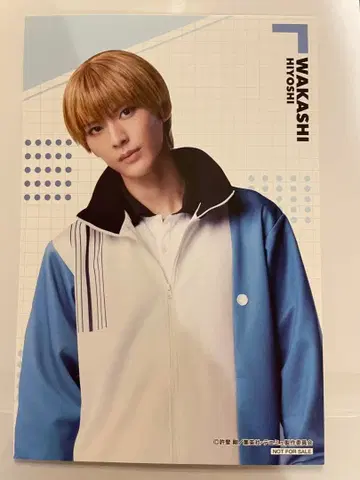 뮤지컬 테니스의 왕자님 히요시 와카 특전