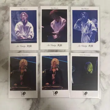 Sir Vanity 특별 혜택 폴라로이드 와타나베 다이세이