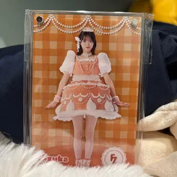 진세이 스즈카 아크릴 섀도우 박스