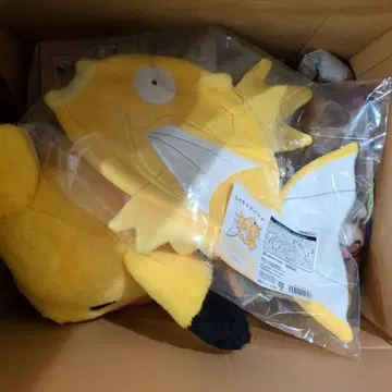 피카피카 박스 2026