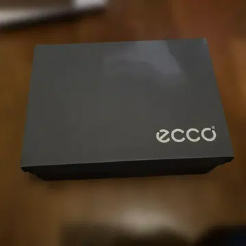 ECCO 고어텍스