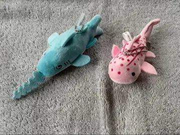 나가오카 서점 상어 봉제 인형 2개 세트