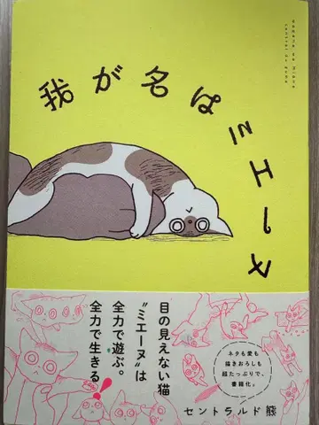 나의 이름은 미에누 센트럴드 곰 사인 도서