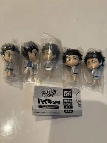 하이큐!! 이쪽을 봐