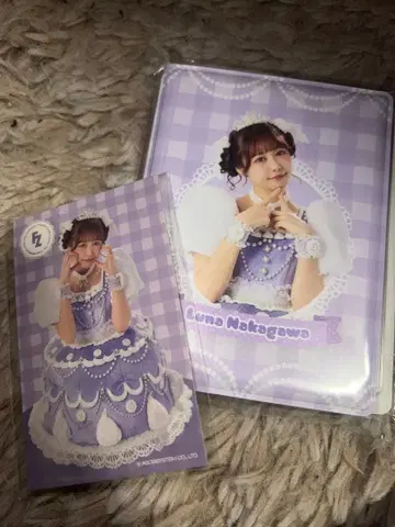 나카가와 루나 클리어 파일 세트 FRUITSZIPPER