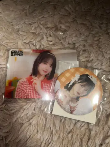 FRUITS ZIPPER 포토 카드와 배지 세트