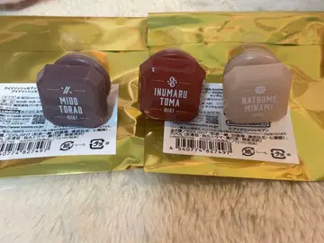 아이나나 린라이 미나미 토라오 토마