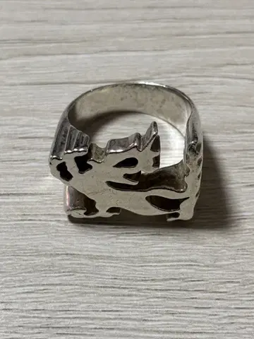 프로젝트 드래곤 BSF 925 실버 반지