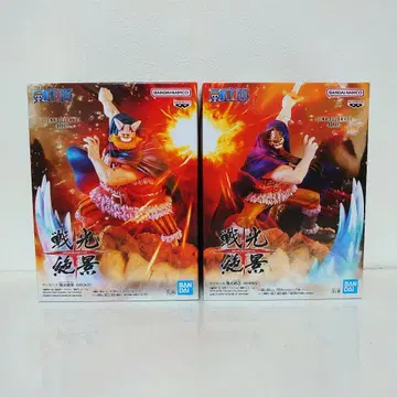 원피스 전광절경 도리 & 브로기