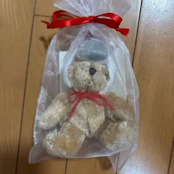 렉서스 테디베어 경마년 2026