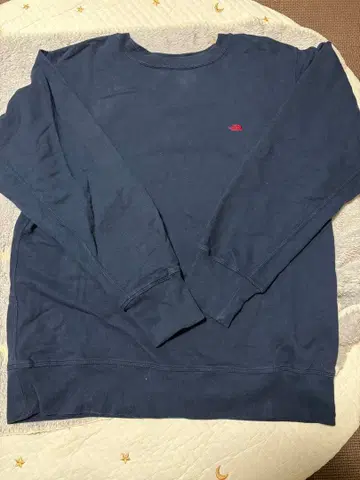 더 노스페이스 퍼플 라벨 맨투맨 M