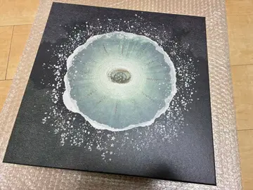 [ 박스만 ] Siip 가이아