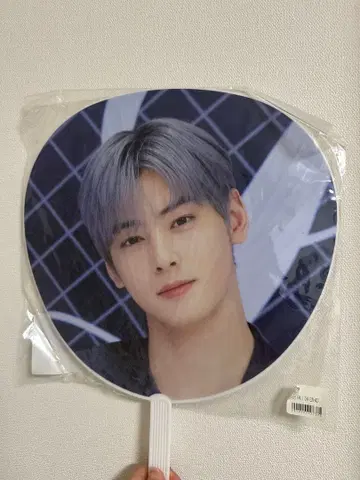 ASTRO 차은우 부채