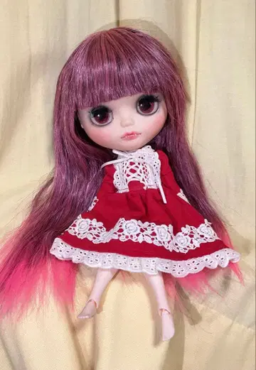 네오 브라이스 커스텀 커스텀 브라이스 본체