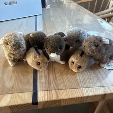 야마네 공방 봉제 인형 세트 덤 산토끼 포함