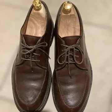 알든 케이프코드 컬렉션 다크 브라운 8.5