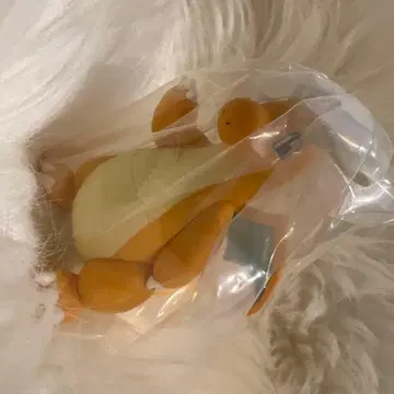 포켓몬스터 가샤트 콜렉트 05 망나뇽