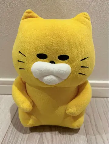 길 잃은 고양이 부대 봉제 인형 반성