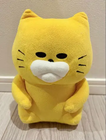 길 잃은 고양이 부대 봉제 인형 반성