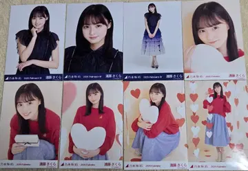 엔도 사쿠라 생사진 8장, 엽서 6장, 포스터 2장, 클리어 파일 세트